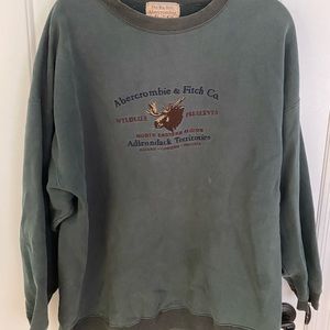 Abercrombie and Fitch oversized sweater
